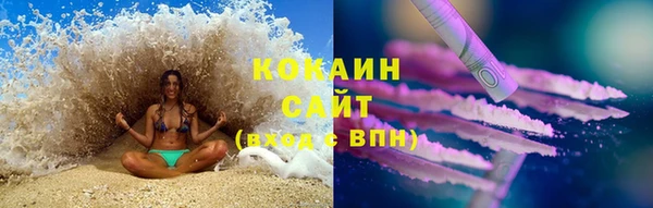 сатива Козловка