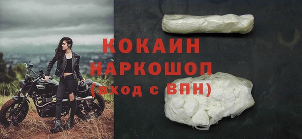 сатива Козловка