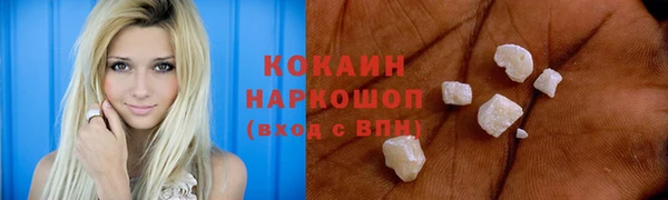 сатива Козловка