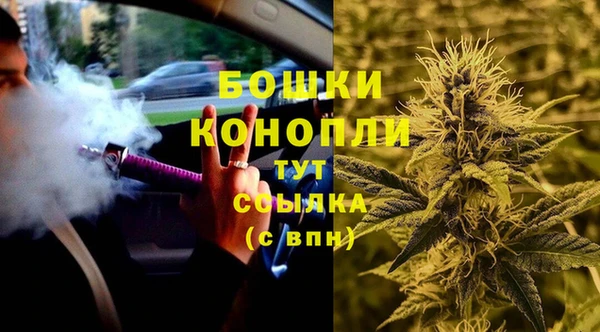 сатива Козловка