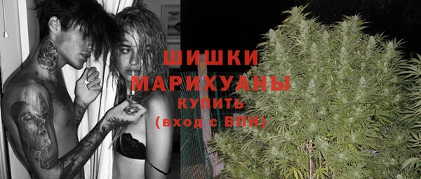 сатива Козловка