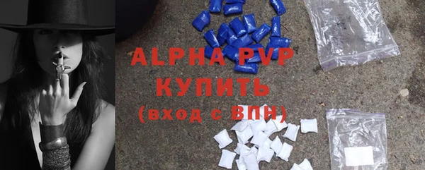 сатива Козловка