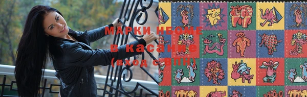 сатива Козловка
