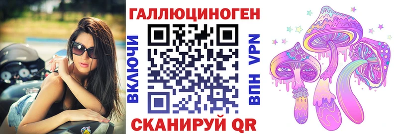 Галлюциногенные грибы Psilocybe  Купить где  Нижняя Тура 
